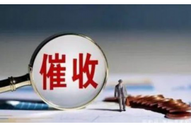 平山企业清欠服务